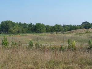 The drive-in field overgrown today.