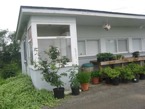 Now a nursery. This was the ticket booth.