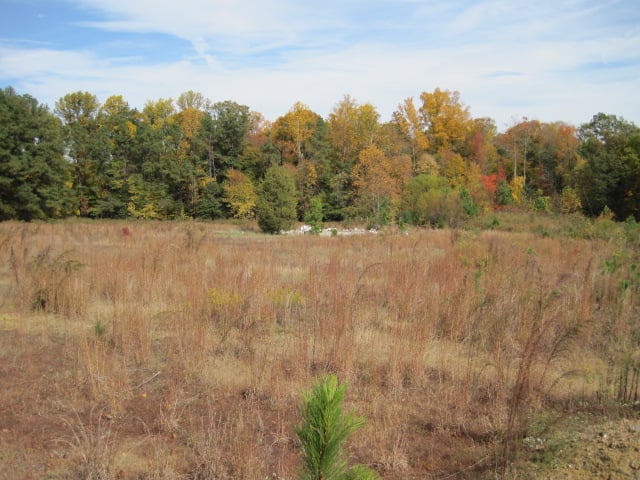 Field.  Remains of projection building in middle distance.