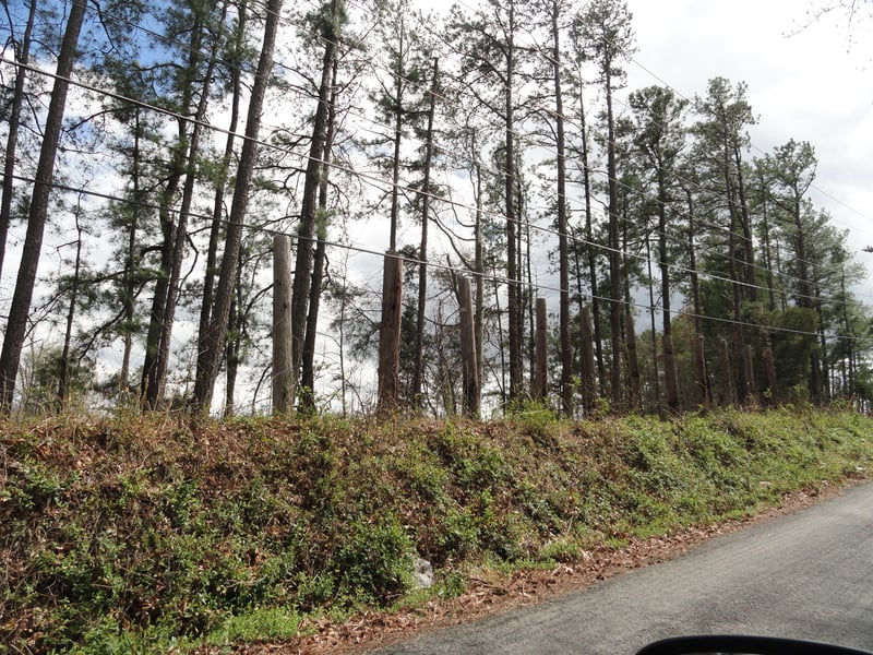 Poles from fence that surrounded property-taken from Old Telegraph Rd