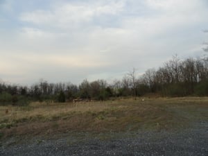 part of the now empty field