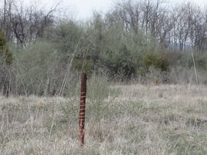 speaker pole remains