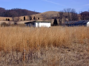 concessions/projection building