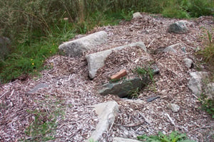 Snack bar foundation remains?