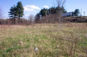 View of part of the field.  The car ramps are just barely visible.