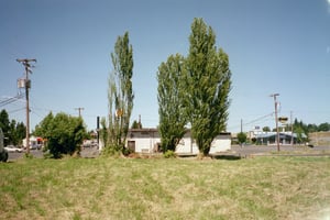 These are the only trees left from when the drive-in was open.