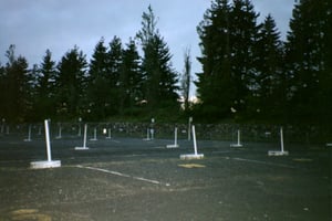 this is the berm between I-5 and the walking trail