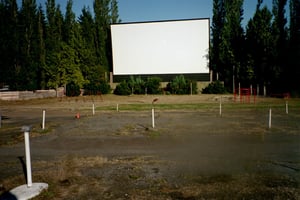 One of the many deer that mosey over from the neighboring golf course looking for food.