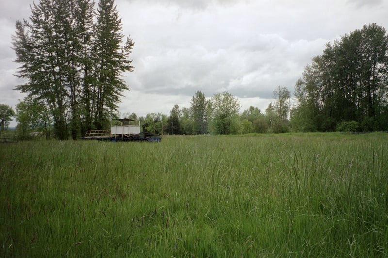 the main field looking toward the screen.