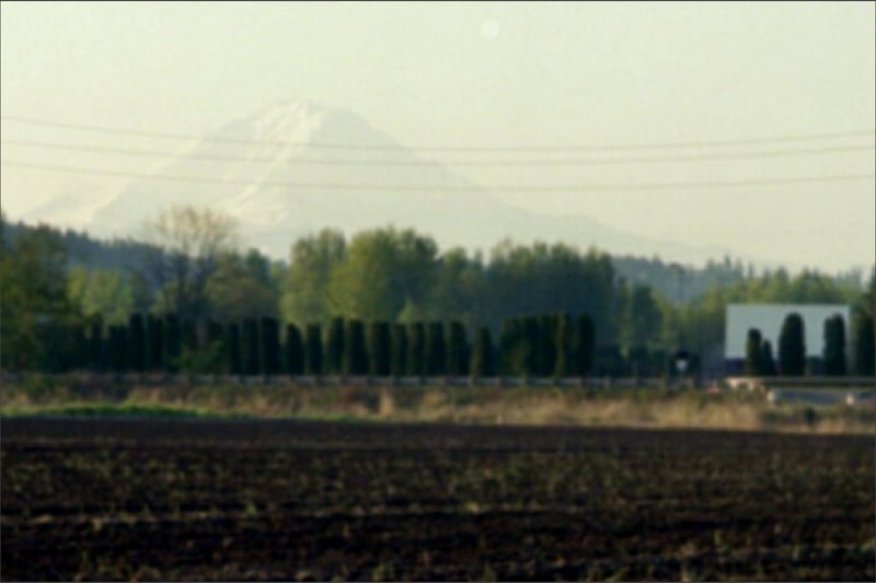 Mt. Rainier & Valley 5