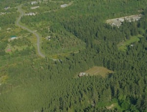 aerial view of drive-in