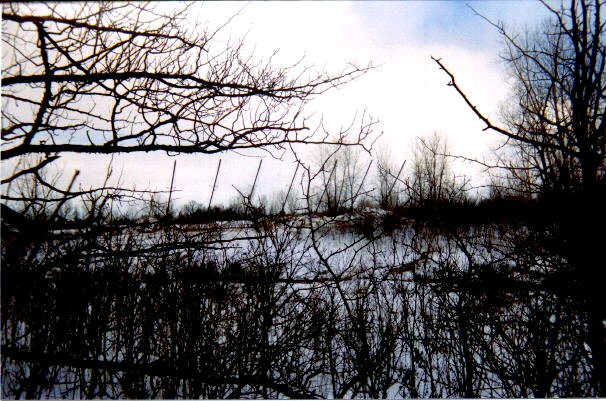 today, all that remains of the former screen are the support poles.  taken March 7, 1999