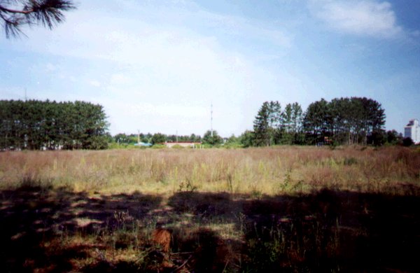 the remains of the Hayward D.I.(the Hayward's last season was in 1998).