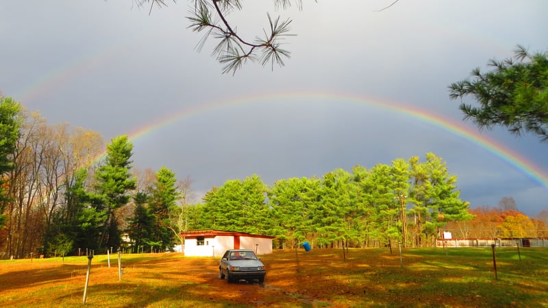 field, projection room, rainbow,