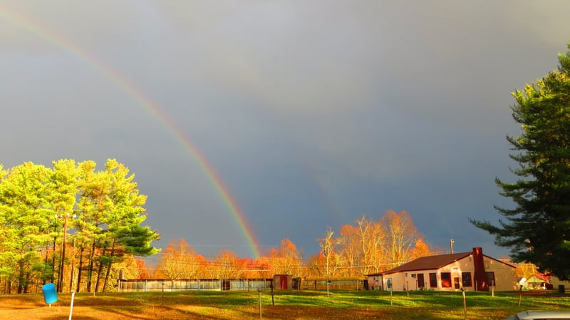 Field, field lights, snack bar, rainbow