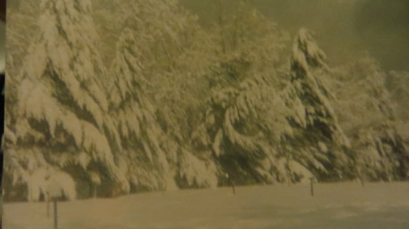 Field in a bad blizzard. Knee-deep snow