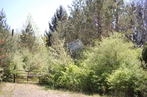 Entrance sign of the Park Theater as it stands today.