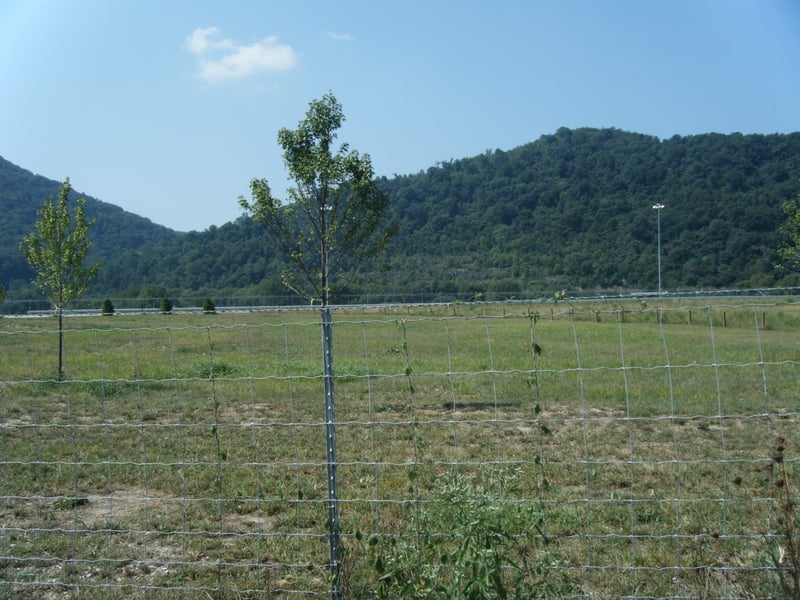 now just an empty field just north of the locks