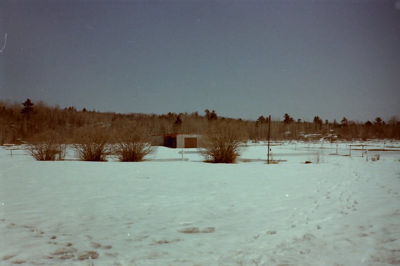 Atomic Drive-In