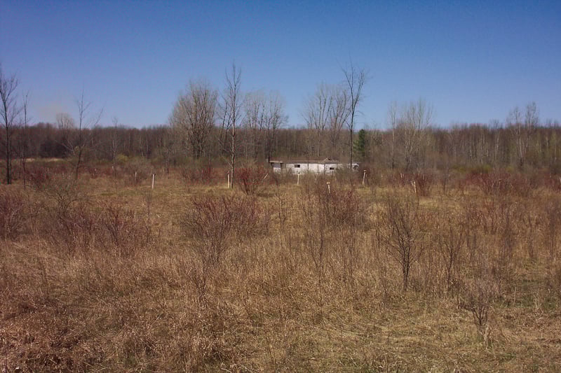 Field and projection building in the background.