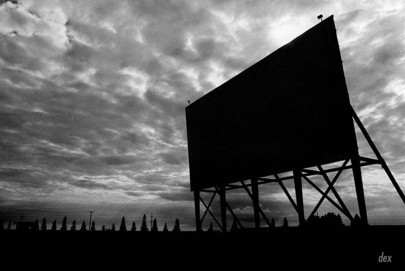 Screen Silhouette (C)1999 Derek Gunnlaugson / Harris Road Movies