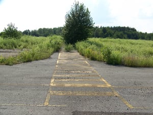allée centrale pour l,écran 1, en aout 2007.
