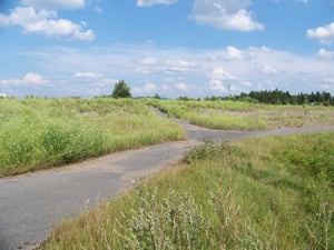 vue d'ensemble du terrain 1.