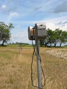 Windy Acres Drive In speaker poll. The Drive In was not open, and looked to have been closed for a few years.