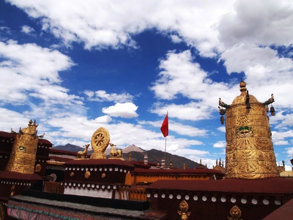 View image 4