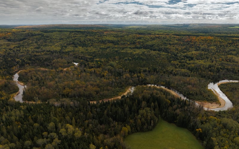 Luxury estate at 599 Chemin Notre Dame de Lourdes, Notre-Dame-de-Lourdes, NB — photo 24