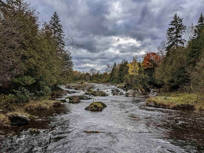 Luxury estate at 220 Route Mooney, Estrie, QC — photo 4