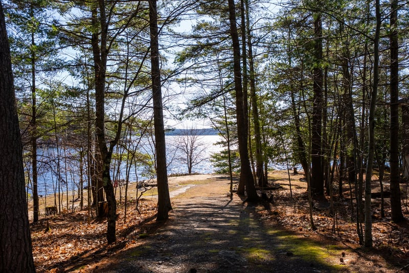Luxury estate at 1226 Rosseau Lake Road 3, Muskoka District Municipality, ON — photo 9