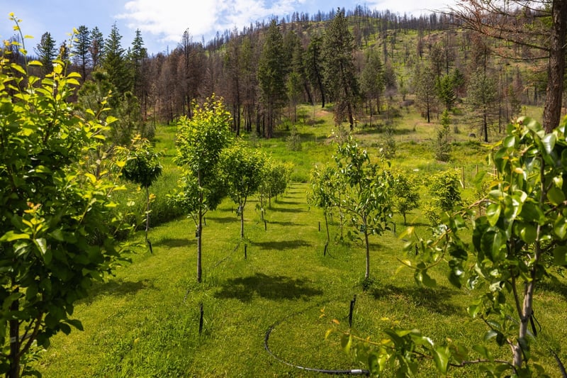 Luxury estate at 1750 Westside Road, Kelowna, BC — photo 25