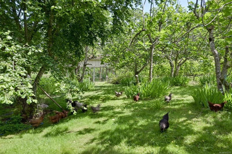 Luxury estate at 5489 Forest Hill Road, Victoria, BC — photo 18