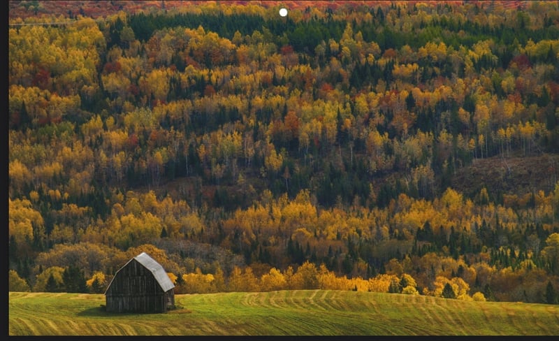 Luxury estate at 599 Chemin Notre Dame de Lourdes, Notre-Dame-de-Lourdes, NB — photo 27