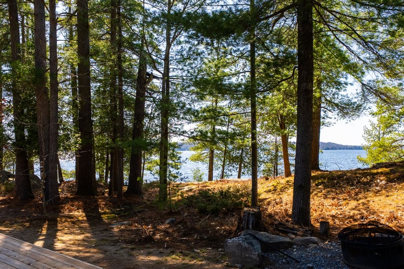 Luxury estate at 1226 Rosseau Lake Road 3, Muskoka District Municipality, ON — photo 7