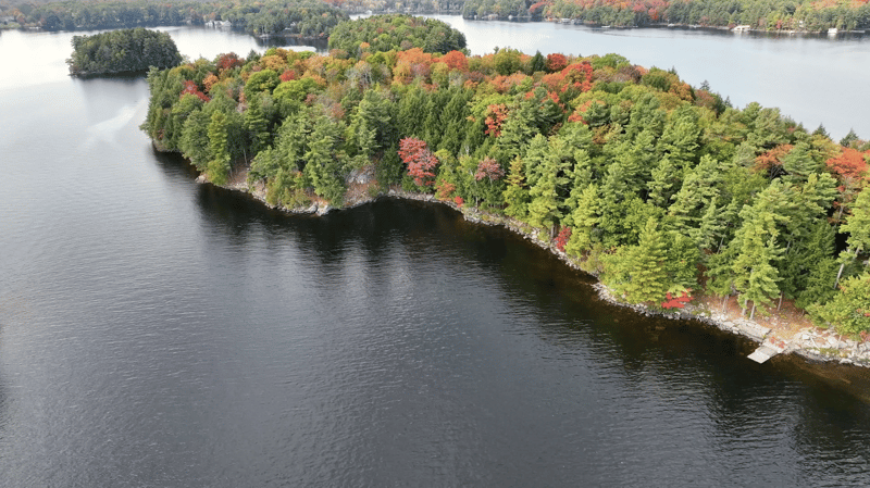 Luxury estate at Muskoka Lakes, ON, ON — photo 3