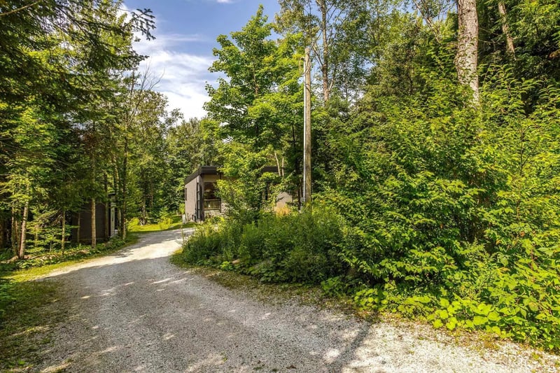 Luxury estate at 18 Rue des Faux Trembles, Eastman, QC — photo 53