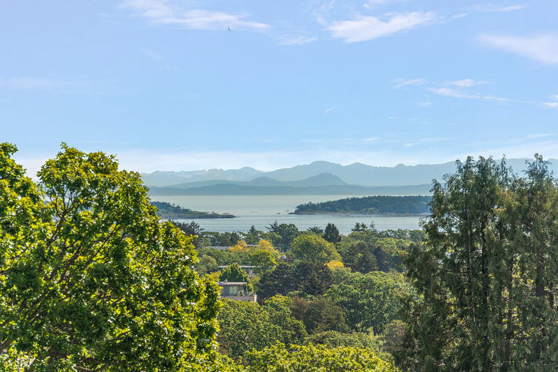 Luxury estate at 1019 Terrace Avenue, Victoria, BC — photo 2