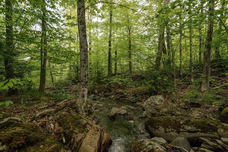Luxury estate at 15 Chemin du Hibou, Eastman, QC — photo 58