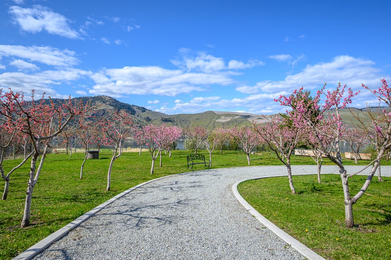 Luxury estate at 8000 Bench Row Road, Vernon, BC — photo 20