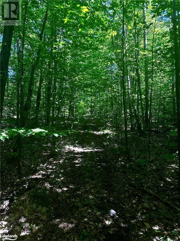 Luxury estate at Rossclair Road, Port Carling, ON — photo 13