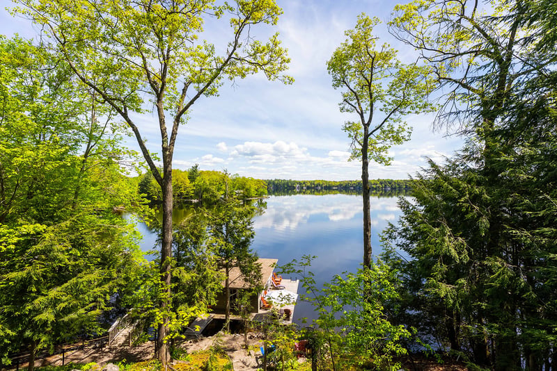 Luxury estate at 1246 Dudley Road, Bala, ON — photo 8