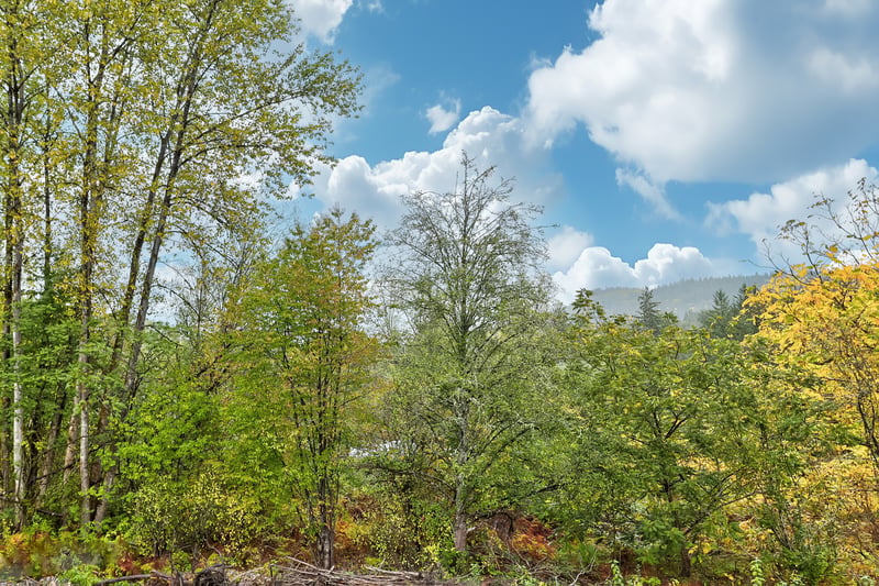 Luxury estate at 11018 243B Street, Maple Ridge, BC — photo 34