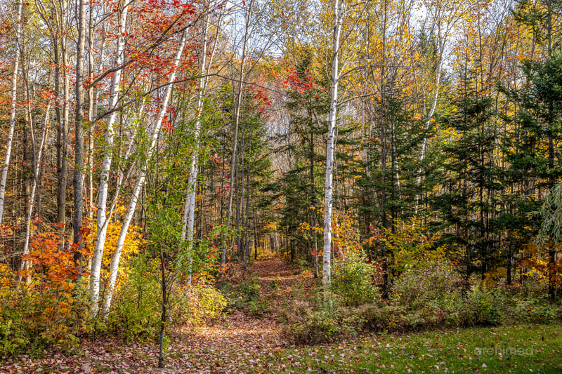 Luxury estate at 183 Chemin St Guillaume #180, Saint-Donat-de-Montcalm, QC — photo 68