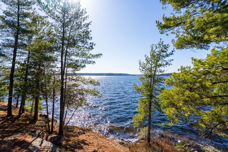 Luxury estate at 1226 Rosseau Lake Road 3, Muskoka District Municipality, ON — photo 14