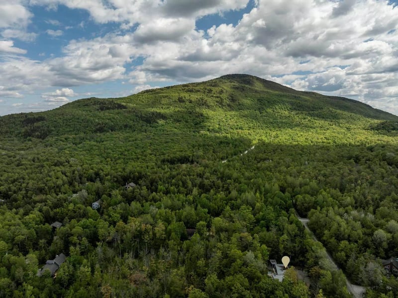 Luxury estate at 15 Chemin du Hibou, Eastman, QC — photo 65
