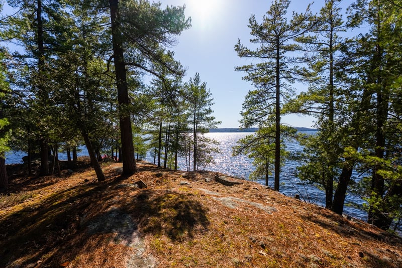 Luxury estate at 1226 Rosseau Lake Road 3, Muskoka District Municipality, ON — photo 15