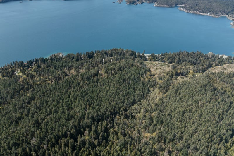 Luxury estate at Halfmoon Bay, BC, BC — photo 15