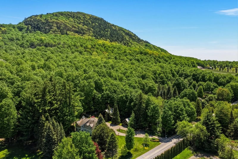 Luxury estate at 865 Rang de la Montagne, Saint-Paul-d'Abbotsford, QC — photo 31
